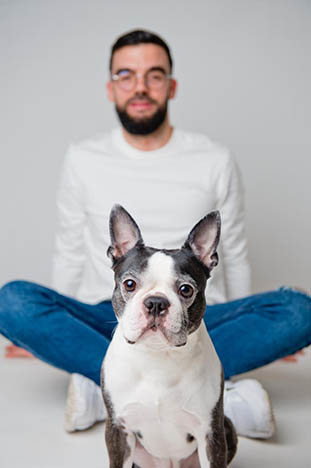shooting animaux