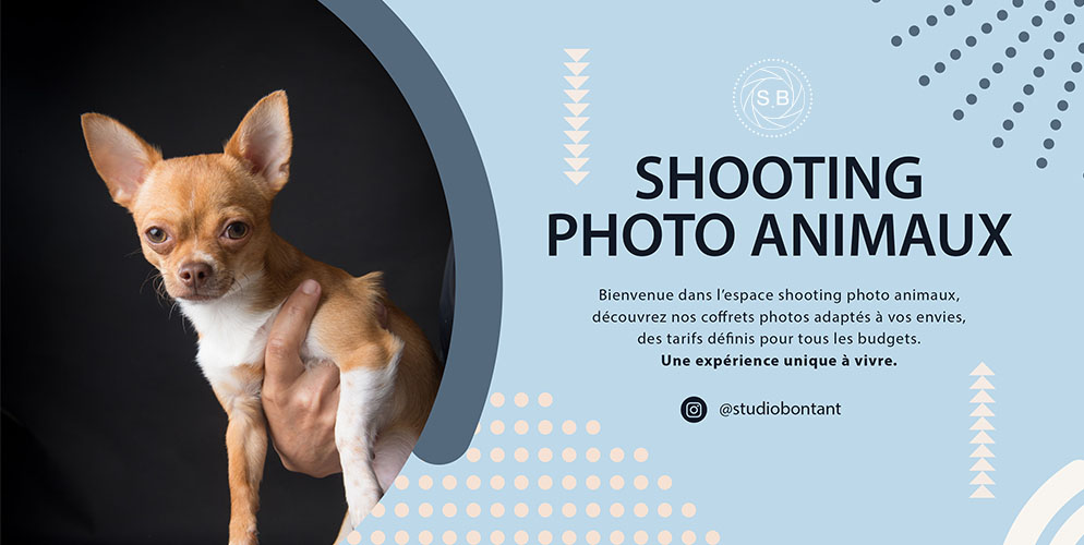 shooting photo animaux