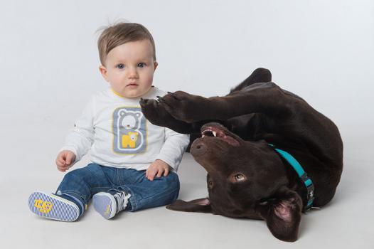 shooting photo chien