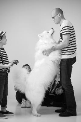 photographe animaux de compagnie paris 3