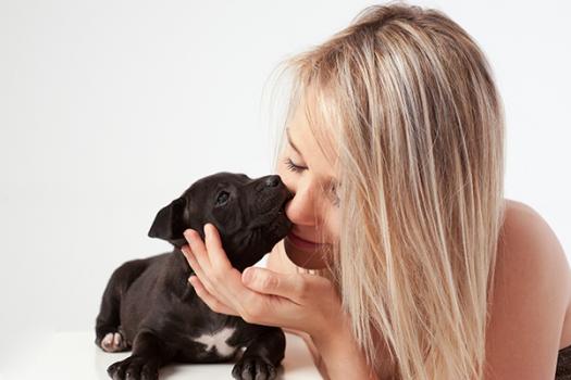 shooting photo animaux paris 8