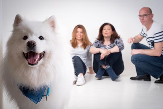 shooting photo animaux paris 7